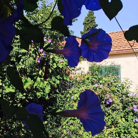 Paiz Vacation Guest house